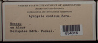 Image Associated With the Occurence